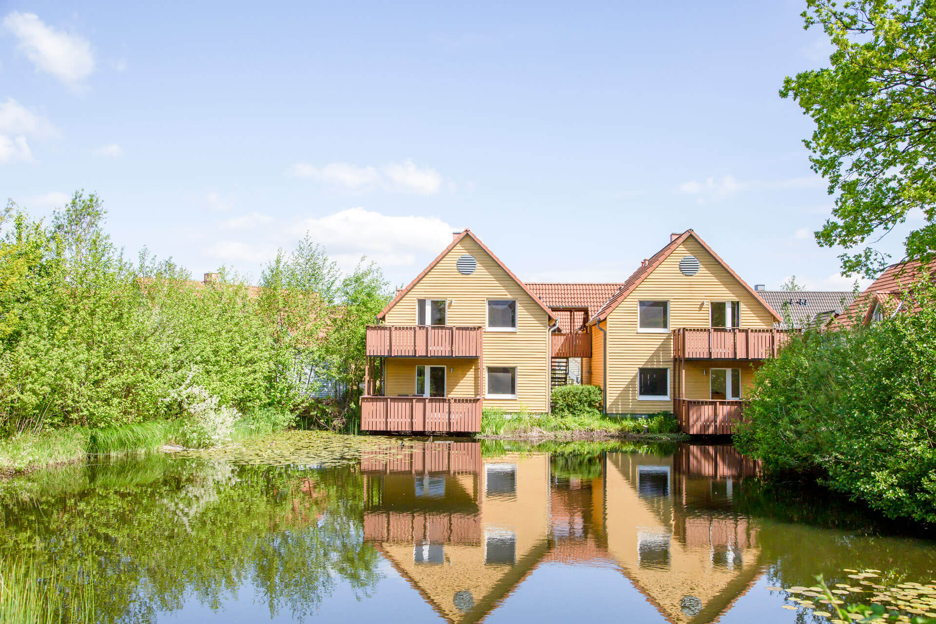 BEECH_Resort_Fleesensee_2