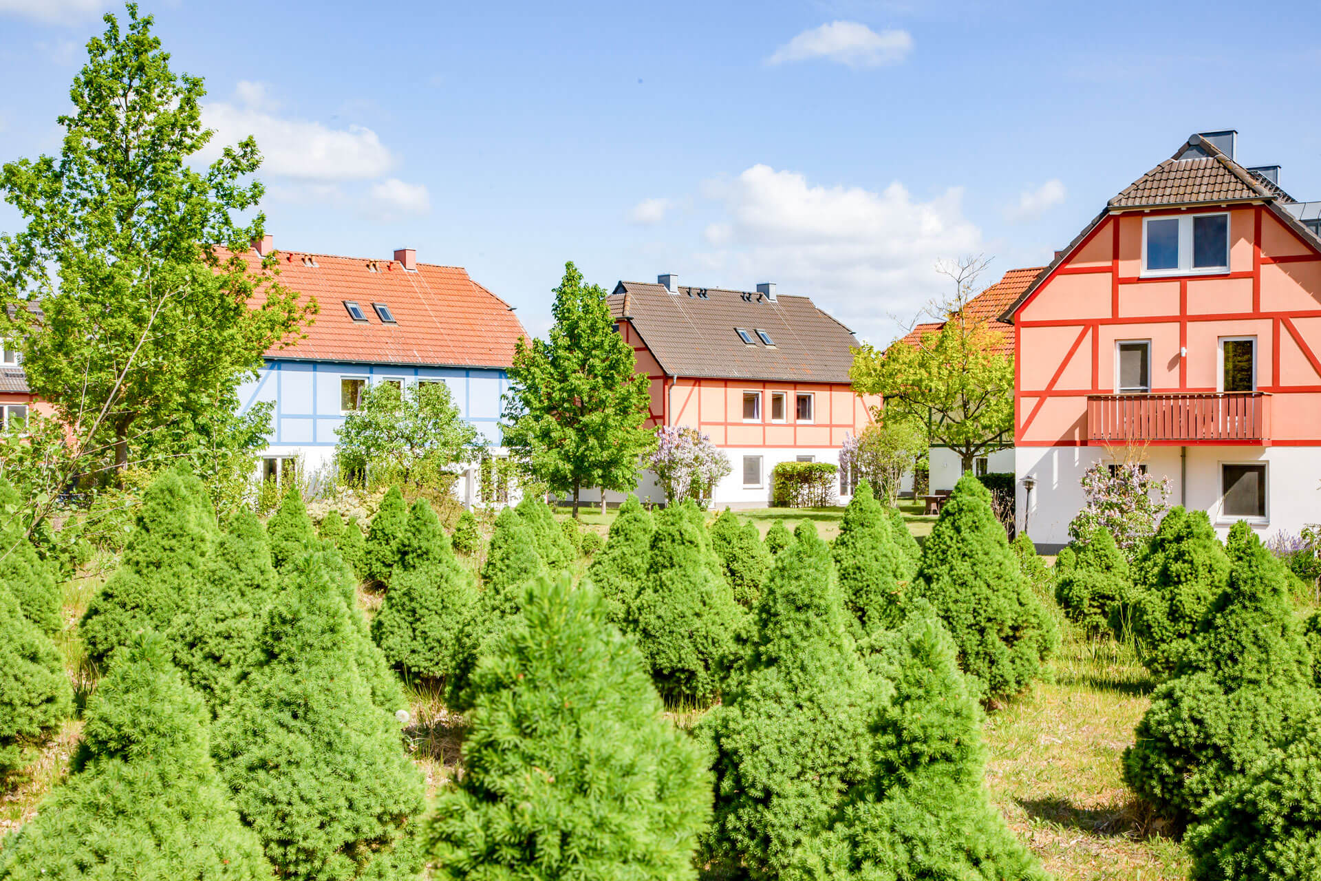 BEECH_Resort_Fleesensee_3