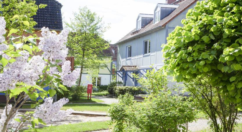 BEECH Resort Fleesensee